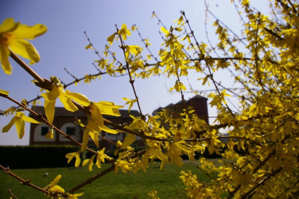 Vila Agriturismo Cascina Nuova Valenza Exteriér fotografie