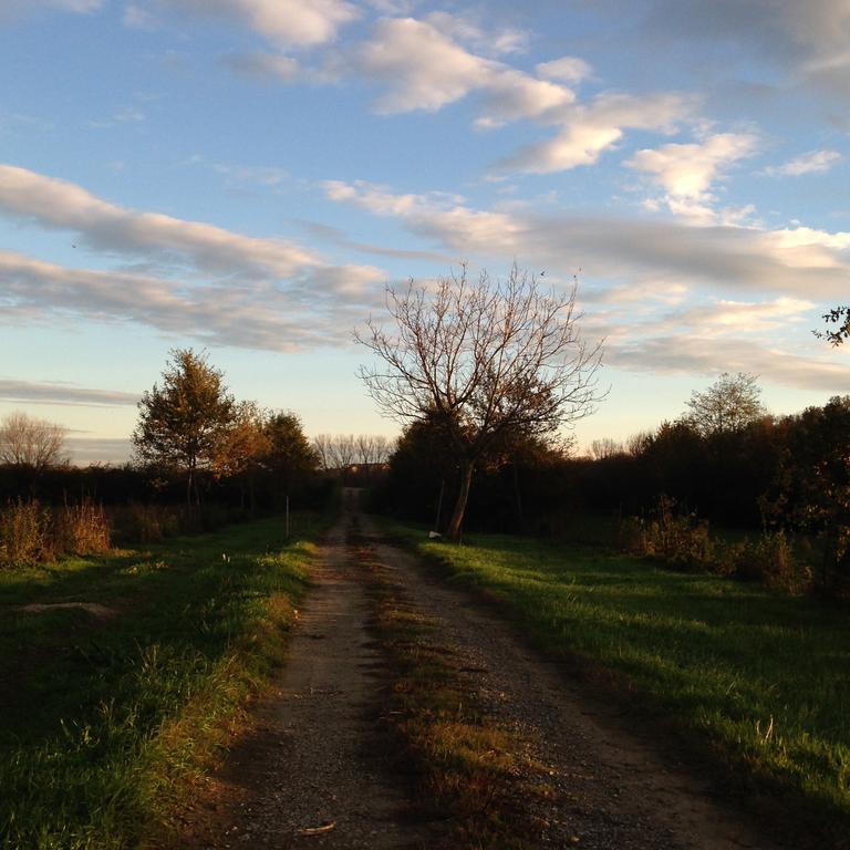 Vila Agriturismo Cascina Nuova Valenza Exteriér fotografie