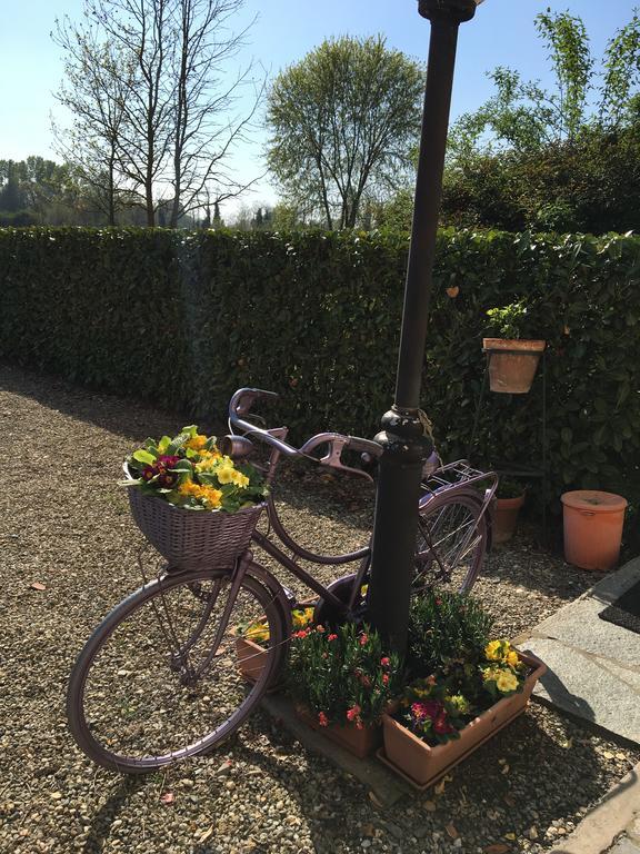 Vila Agriturismo Cascina Nuova Valenza Exteriér fotografie