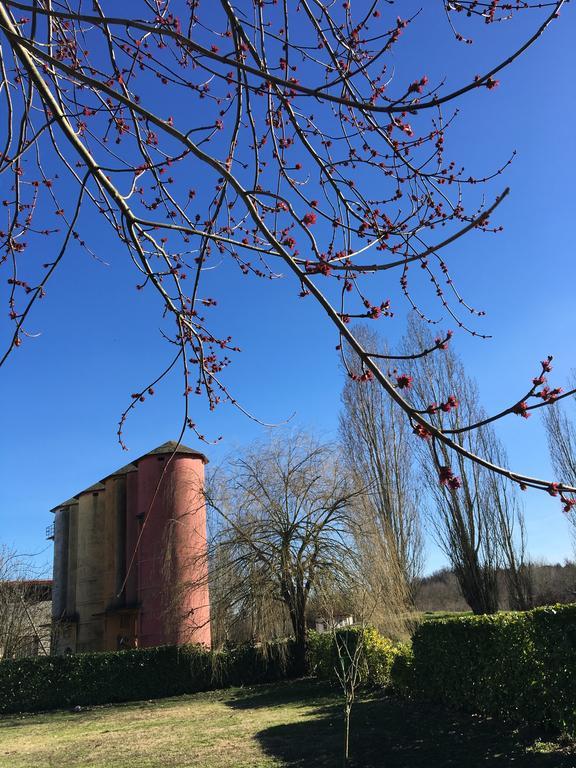 Vila Agriturismo Cascina Nuova Valenza Exteriér fotografie