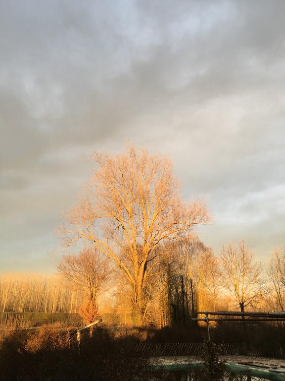 Vila Agriturismo Cascina Nuova Valenza Exteriér fotografie