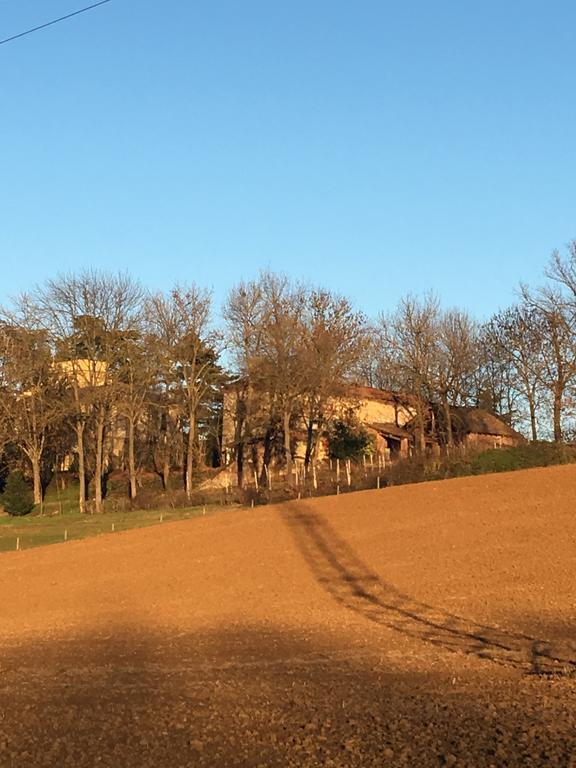 Vila Agriturismo Cascina Nuova Valenza Exteriér fotografie
